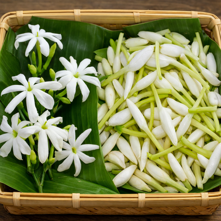 Sanna Jaaji Individual Flower Small Bag – Sanna Jaaji (Telugu) | Choti Chameli (Hindi) | Mullai Poo (Tamil) | Small Jasmine Flowers (English)