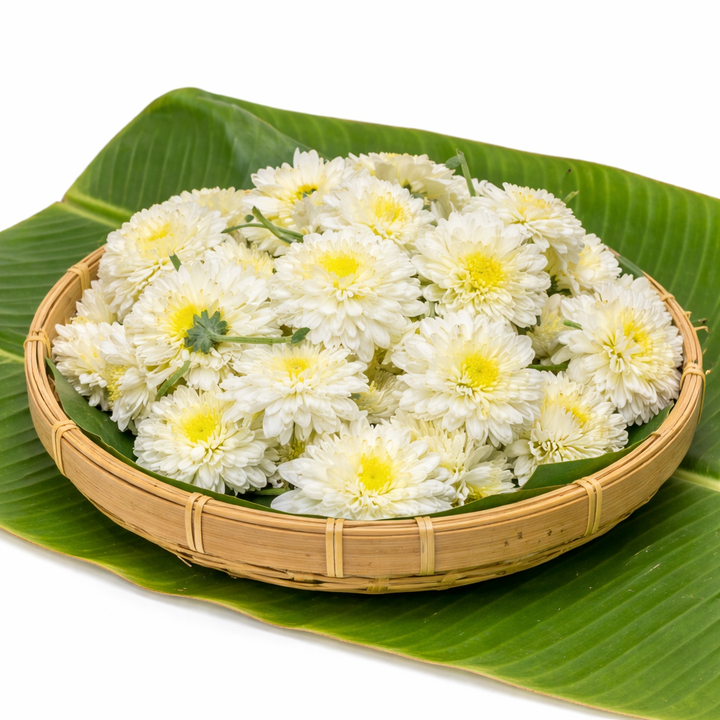 చామంతి పువ్వు (Chamanthi Puvvu) | गुलदाउदी (Guldaudi) | சாமந்தி பூ (Saamanthi Poo) | Chrysanthemum Flowers – 1 Pack