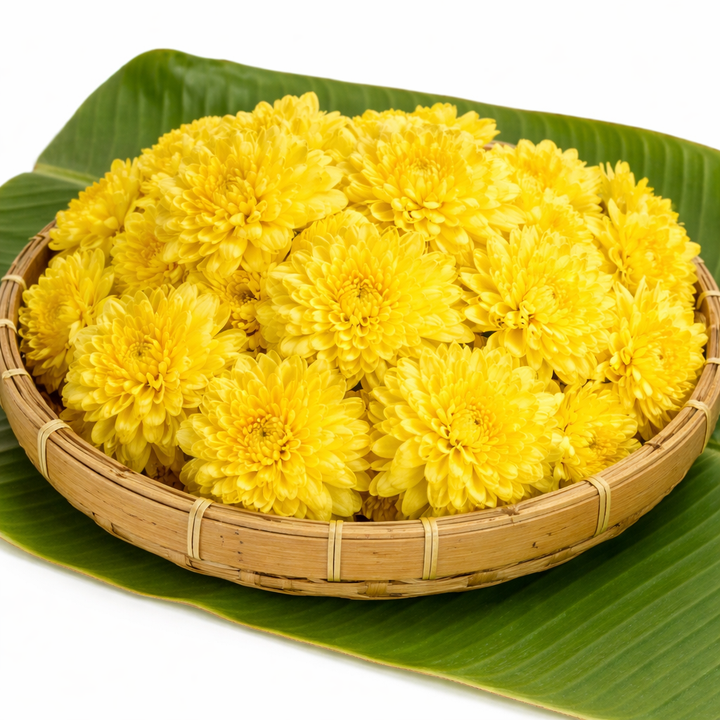 చామంతి పువ్వు (Chamanthi Puvvu) | गुलदाउदी (Guldaudi) | சாமந்தி பூ (Saamanthi Poo) | Chrysanthemum Flowers – 1 Pack