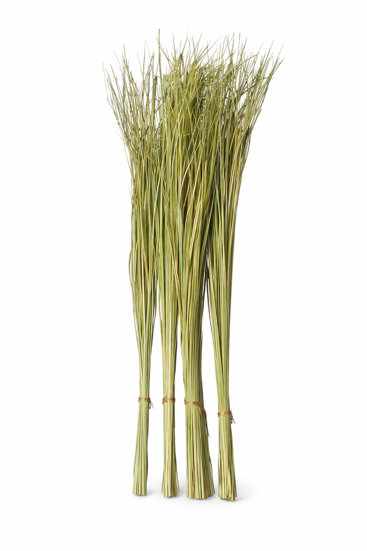 దర్భ గడ్డి (Darbha Gaddi) | कुशा घास (Kusha Grass) | தர்பை புல் (Dharbai Pul) | Darbha Grass – 1 Pack