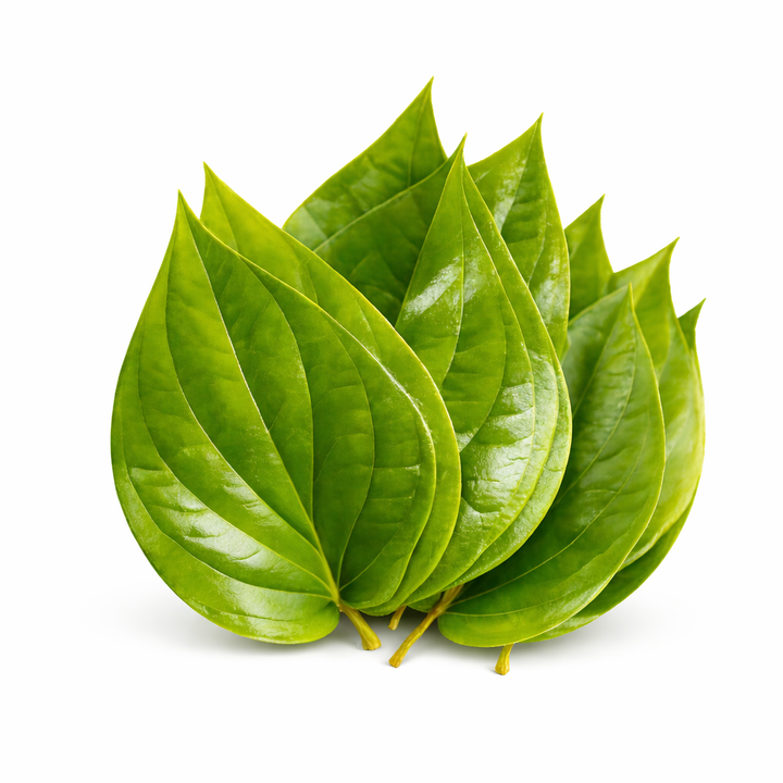తమలపాకు (Tamalapaku) | पान पत्ता (Paan Patta) | வெற்றிலை (Vetrilai) | Betel Leaves – 12 Each